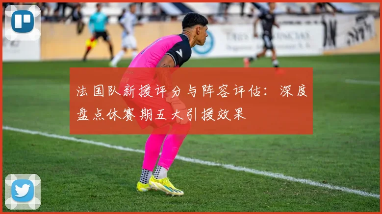 法国队新援评分与阵容评估：深度盘点休赛期五大引援效果