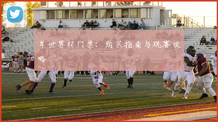 年世界杯门票:购买指南与观赛攻略