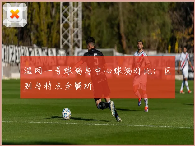 温网一号球场与中心球场对比:区别与特点全解析